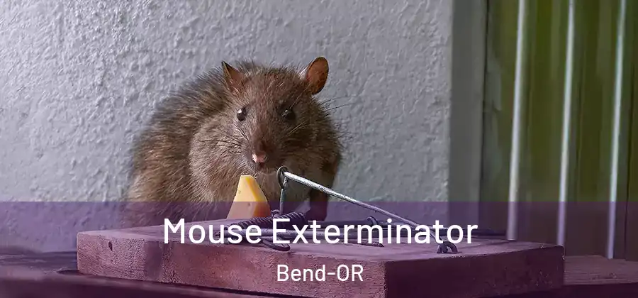  Mouse Exterminator Bend-OR