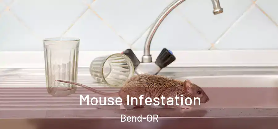Mouse Infestation Bend-OR