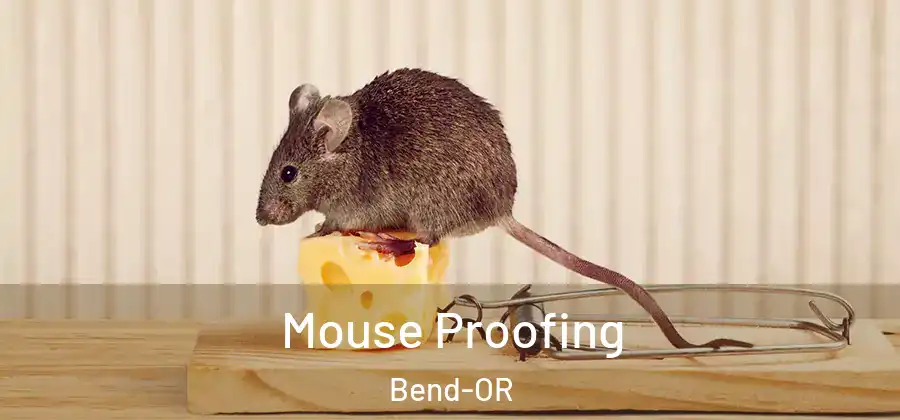  Mouse Proofing Bend-OR