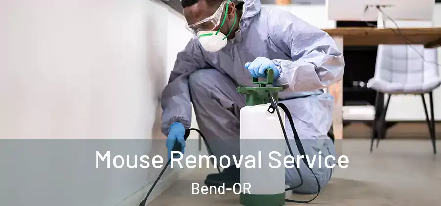 Mouse Removal Service Bend-OR