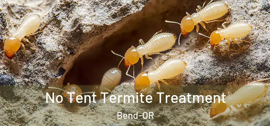 No Tent Termite Treatment Bend-OR