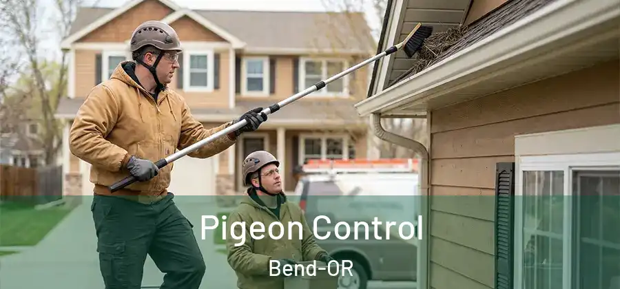 Pigeon Control Bend-OR