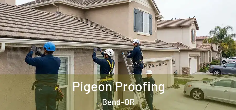 Pigeon Proofing Bend-OR
