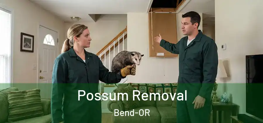 Possum Removal Bend-OR