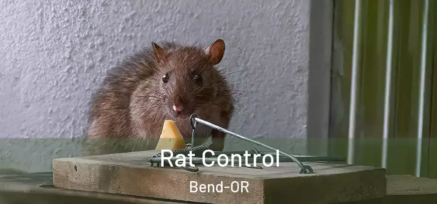  Rat Control Bend-OR