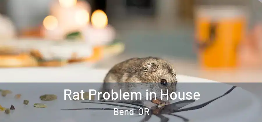  Rat Problem in House Bend-OR
