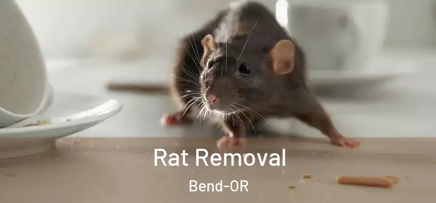 Rat Removal Bend-OR