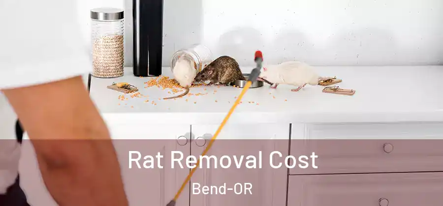 Rat Removal Cost Bend-OR