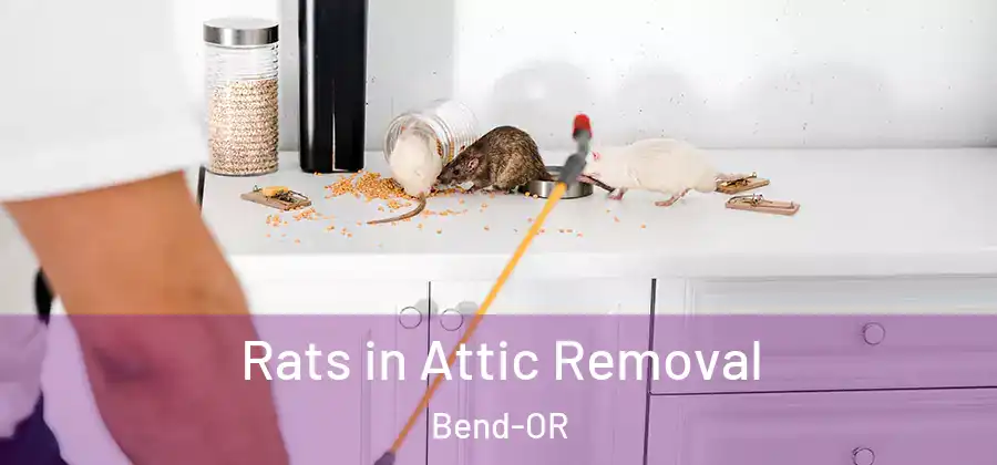 Rats in Attic Removal Bend-OR