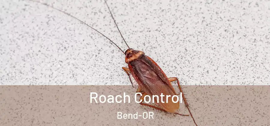 Roach Control Bend-OR