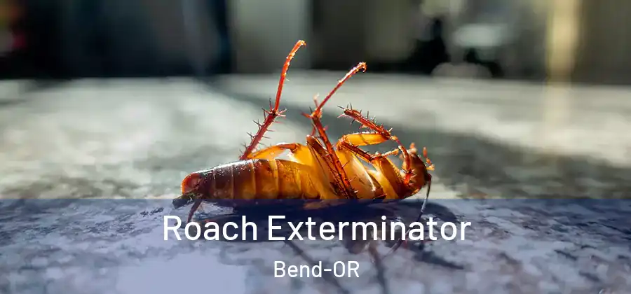 Roach Exterminator Bend-OR