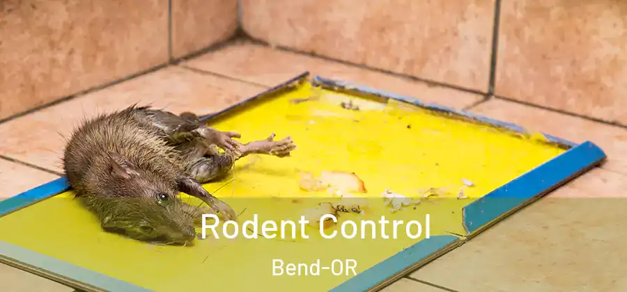 Rodent Control Bend-OR