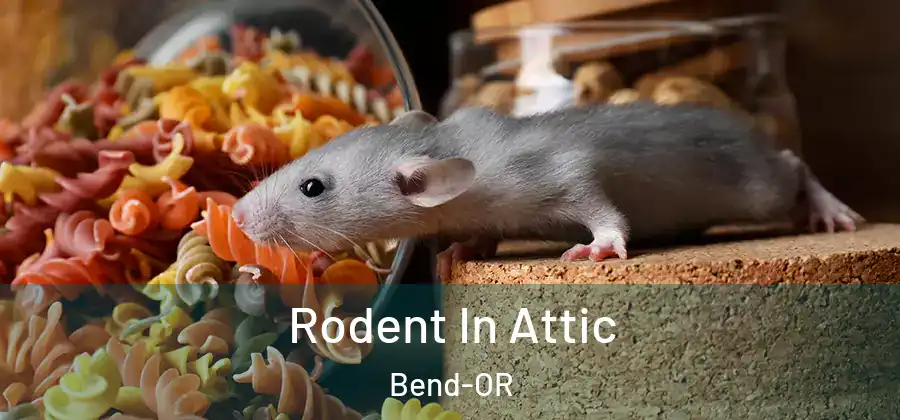 Rodent In Attic Bend-OR
