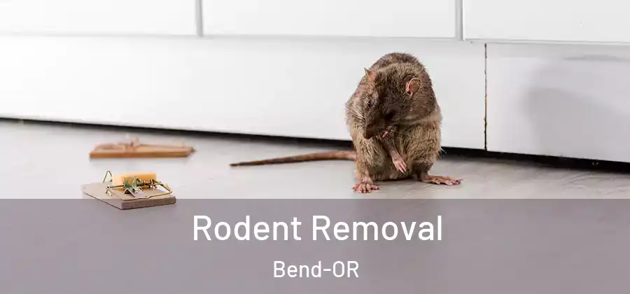 Rodent Removal Bend-OR