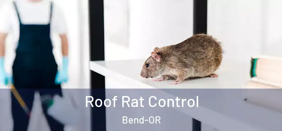 Roof Rat Control Bend-OR