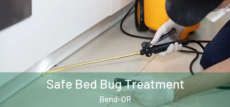 Safe Bed Bug Treatment Bend-OR