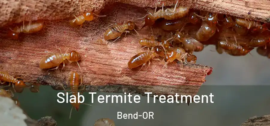 Slab Termite Treatment Bend-OR