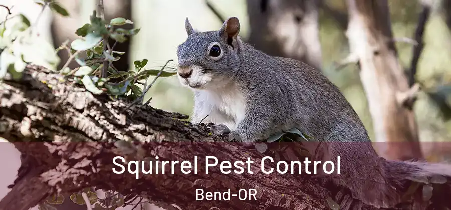 Squirrel Pest Control Bend-OR