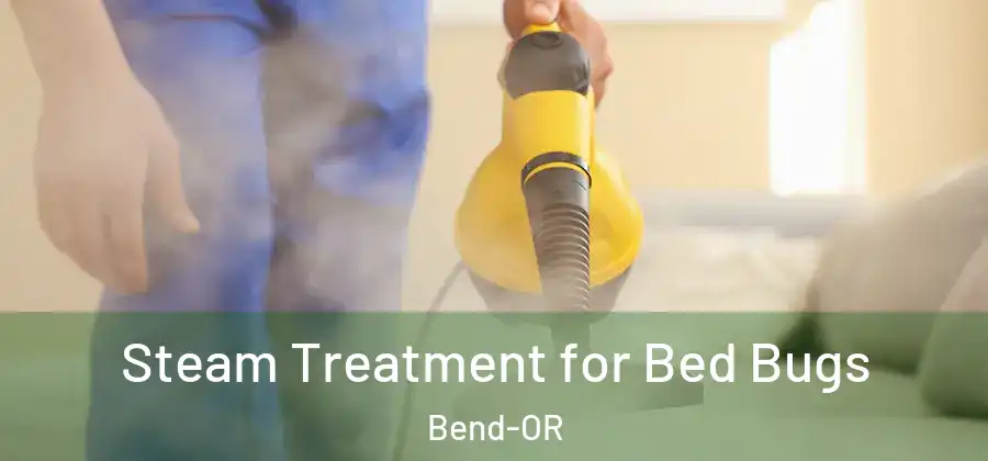  Steam Treatment for Bed Bugs Bend-OR