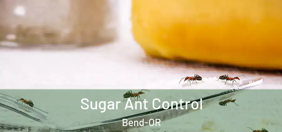  Sugar Ant Control Bend-OR