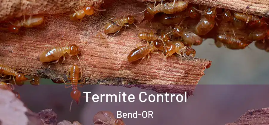  Termite Control Bend-OR