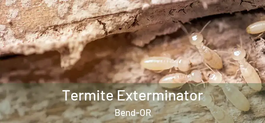  Termite Exterminator Bend-OR