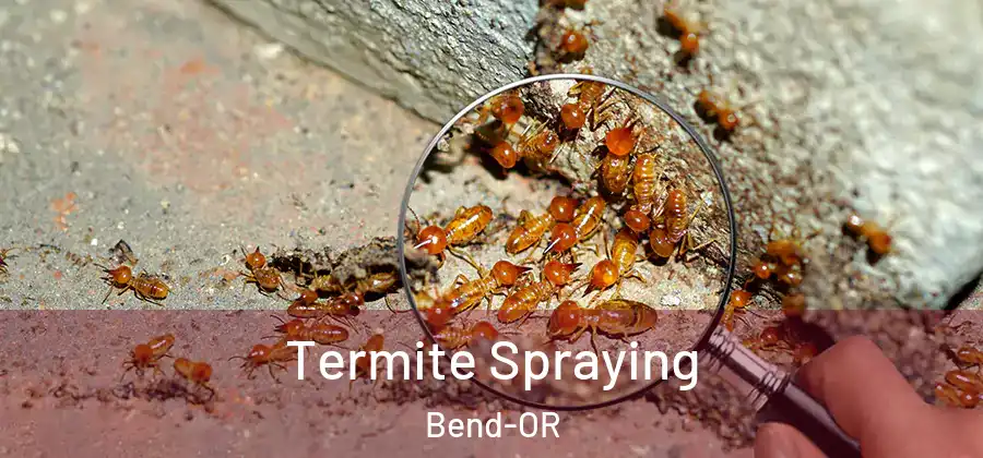  Termite Spraying Bend-OR