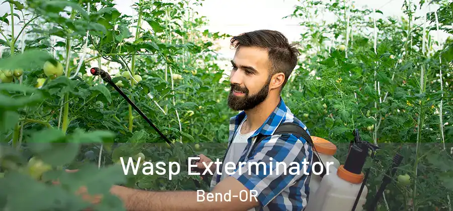  Wasp Exterminator Bend-OR