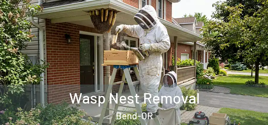 Wasp Nest Removal Bend-OR