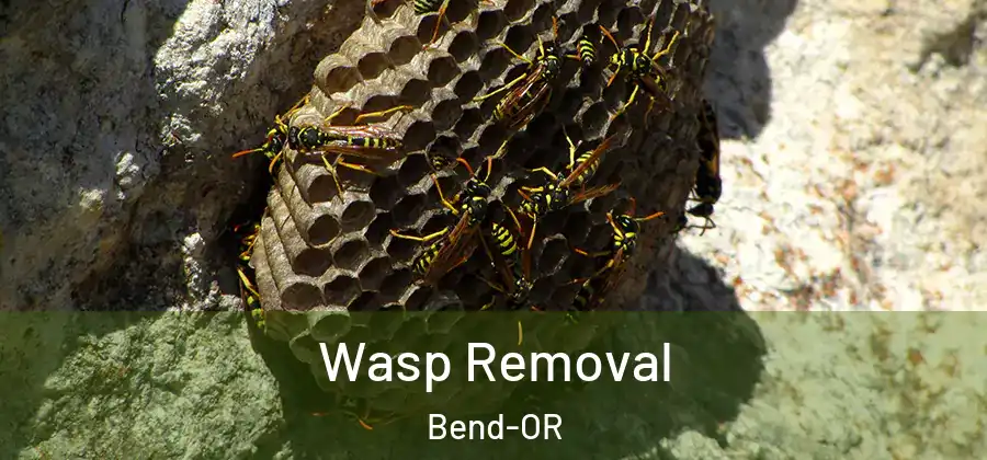  Wasp Removal Bend-OR