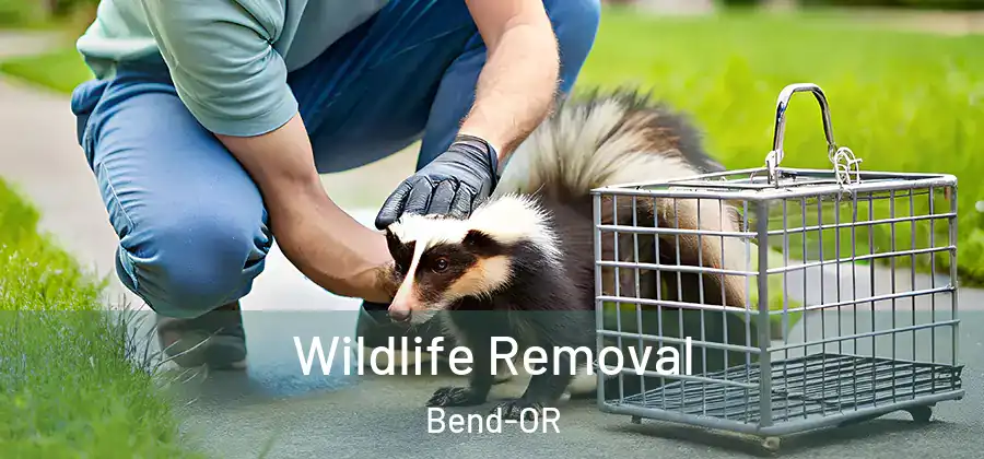 Wildlife Removal Bend-OR
