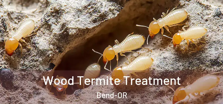 Wood Termite Treatment Bend-OR