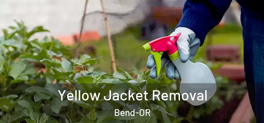  Yellow Jacket Removal Bend-OR